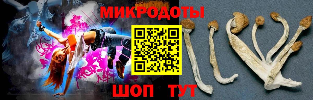 Псилоцибиновые грибы Psilocybine cubensis  Вход с VPN  Псилоцибиновые грибы Magic Shrooms  Чебаркуль 